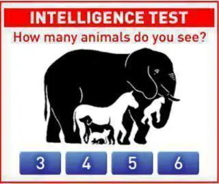 Intelligence test – How many