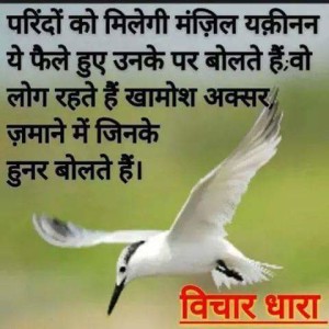 Hindi Inspiring Quotes