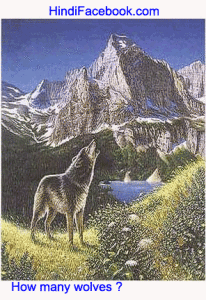 Whatsapp puzzle wolf puzzle