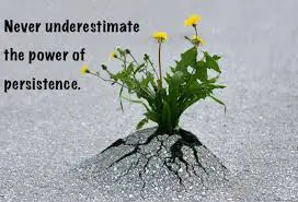 New Quotes on Persistence