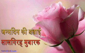 Birthday Wishes in Hindi जन्मदिन की बधाई हिंदी में