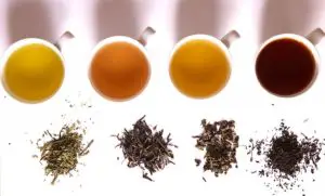 ग्रीन टी Tea_in_different_grade_of_fermentation