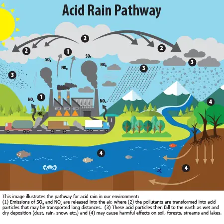 एसिड रेन (Acid rain) क्या होती हे? और इसे केसे रोका जा सकता हे?
