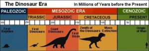 Dinosaurs facts in hindi, facts about dinosaurs hindi, 35 facts about dinosaurs, dinosaurs ke tathy, Truth about dinosaurs hindi, scientific facts about dinosaurs, facts of dinosaurs hindi, T rex facts hindi, raptor facts in hindi, dino facts in hindi,