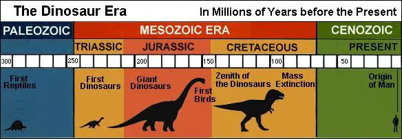 पृथ्वी पर डायनासोरों का युग कब से कब तक था? Timeline of Dinosaur hindi