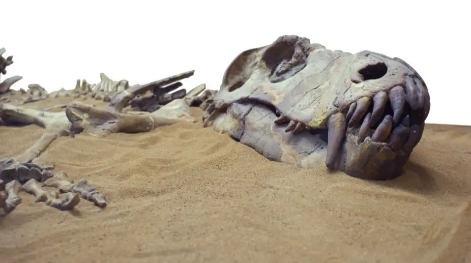 क्या डायनासोर को फिर से जिंदा किया जा सकता है? Can scientists create dinosaurs hindi