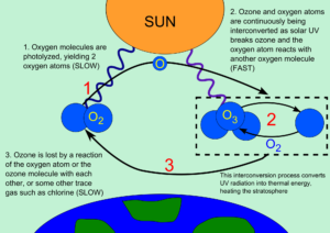 ओजोन परत का निर्माण कैसे होता है How ozone layer is made hindi