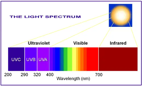 अल्ट्रा वायलेट रेडिएशन, Ultraviolet Radiation ke effects hindi, अल्ट्रा वायलेट विकिरण, What is Ultraviolet Radiation hindi, sunburn hindi, अल्ट्रावायलेट किरणों का दुष्प्रभाव, Effects of ultraviolet on Humans hindi, अल्ट्रावायलेट किरणों के जीवो पर प्रभाव, Effects of Ultraviolet radiation on animals, अल्ट्रावायलेट किरणों का पौधों पर प्रभाव, Effects of Ultraviolet radiation on plants
