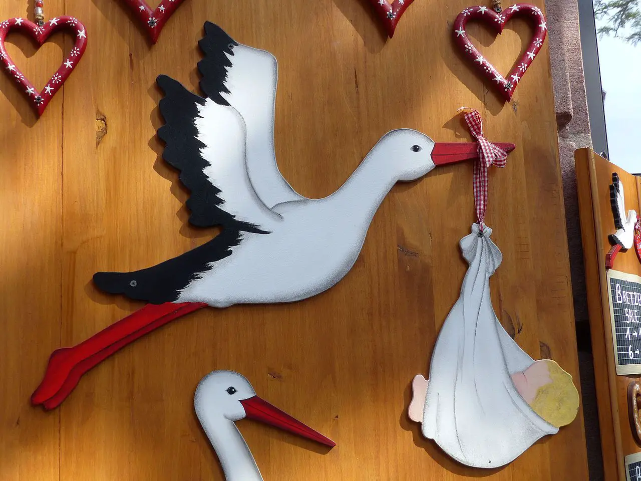 व्हाइट स्टोर्क पक्षी को बच्चों को लाते हुए क्यों दिखाया जाता है White stork bring babies