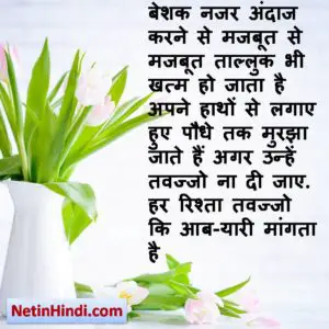 Nazar Andaz quotes in Hindi islamic quotes 