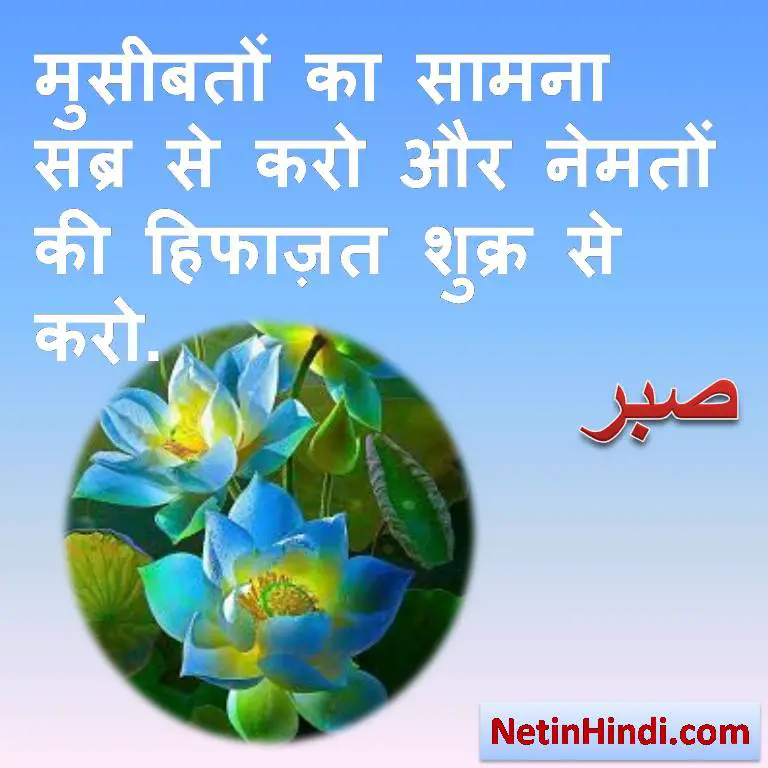 Sabr status and quotes in hindi - Islamic Quotes in Hindi with Images