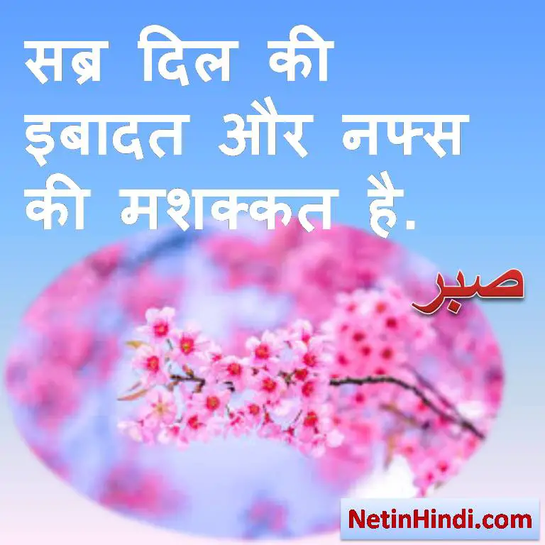Sabr instagram status in hindi -islamic quotes in hindi