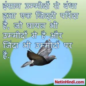 Umeed islamic quotes in hindi images