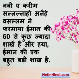 Haya quotes in hindi with photos
