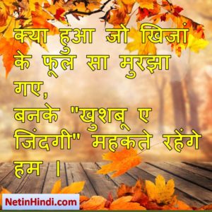 Khizan Patjhad facebook status, Khizan Patjhad facebook poetry, hindi Khizan Patjhad status, status in hindi for Khizan क्या हुआ जो खिजां के फूल सा मुरझा गए,  बनके "खुशबू ए जिंदगी" महकते रहेंगे हम ।