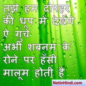 hindi Shabnam status, status in hindi for Shabnam तुझे हम दोपहर की धूप में देखेंगे ऐ ग़ुंचे  अभी शबनम के रोने पर हँसी मालूम होती है  ~शफ़ीक़_जौनपुरी