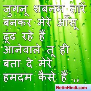hindi Shabnam status, status in hindi for Shabnam जुगनू शबनम तारें बनकर मेरे आँसू ढूंढ रहे हैं  आनेवाले तू ही बता दे मेरे हमदम कैसे हैं ,,