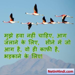 best inspirational quotes in hindi 5