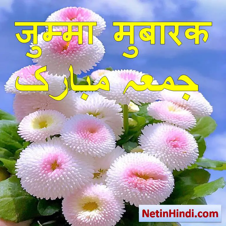 wish of jumma mubarak with white flower