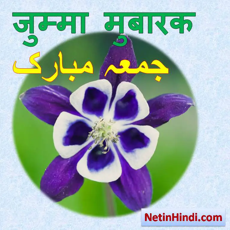 jumma greeting with flower images