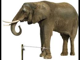 Hindi Kahani - Elephant rope 