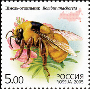 bumblebee-stams - Hindi Kahani