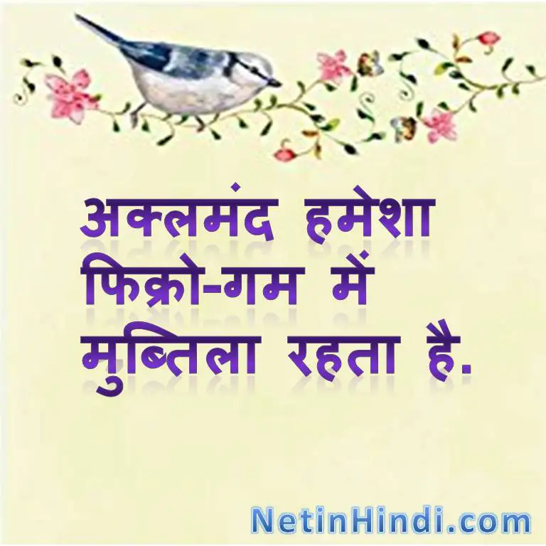 Islamic Quotes in Hindi with Images-akalmand