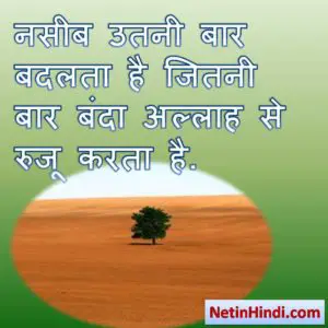taqdeer status images in hindi