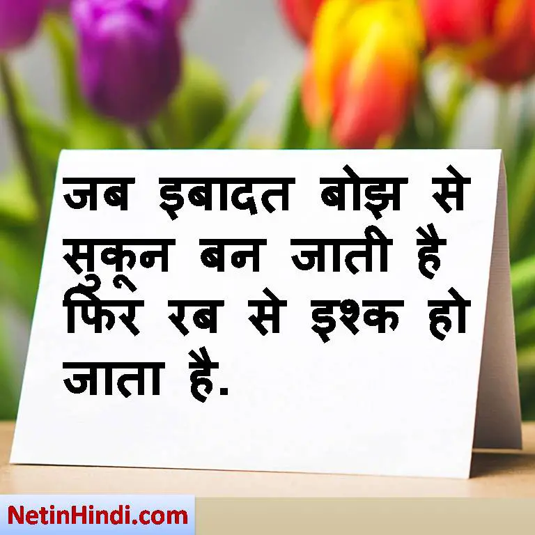 sukoon-status-in-hindi-images-sukoon-quotes-in-hindi-images-net-in