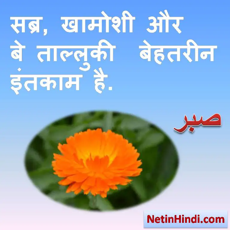 Sabr dp in hindi -islamic quotes in hindi