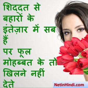 Love Shayari images dps, Love Shayari dp for whatsapp शिद्दत से बहारों के इंतेज़ार में सब हैं पर फूल मोहब्बत के तो खिलने नहीं देते