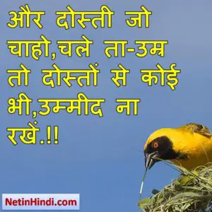 Umeed status in hindi fb, best hindi shayari on Umeed, new hindi shayari on Umeed, 2 line hindi shayari on Umeed और दोस्ती जो चाहो,चले ता-उम्र  तो दोस्तों से कोई भी,उम्मीद ना रखें.!!