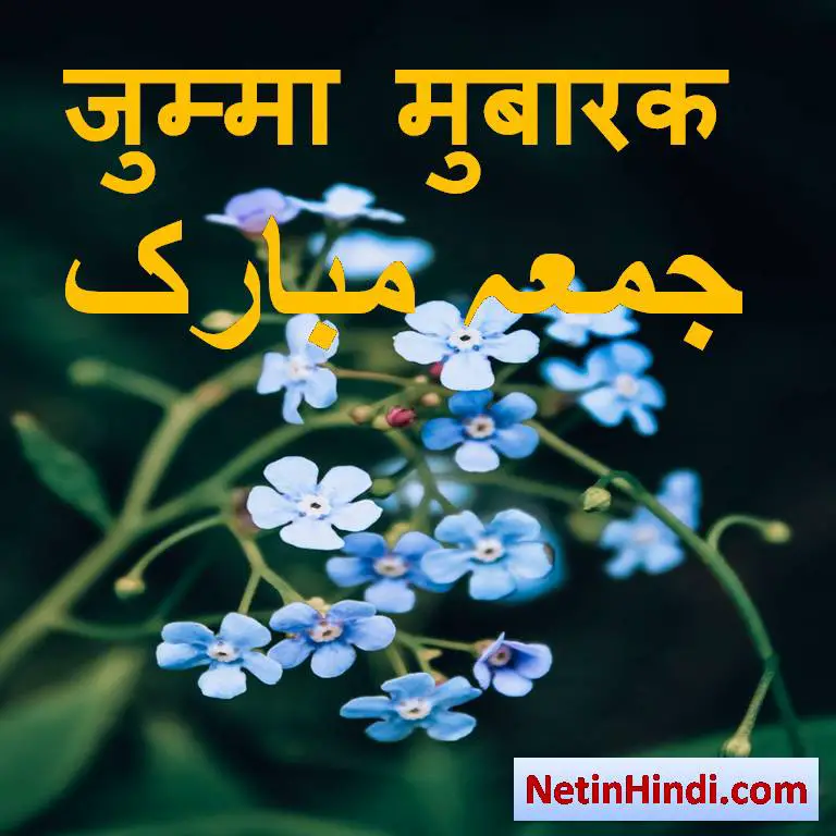wish of jumma mubarak with flower images