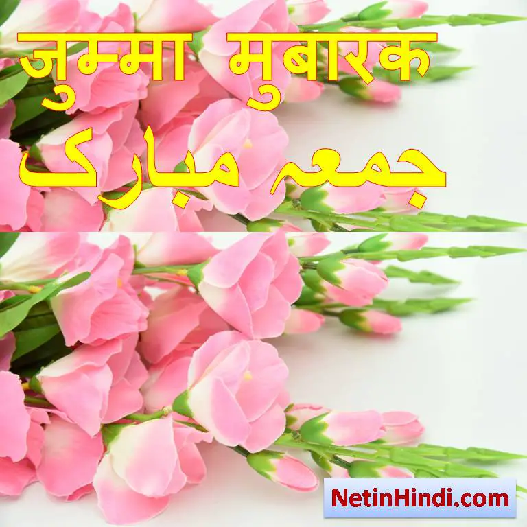 wish of jumma mubarak with flower images