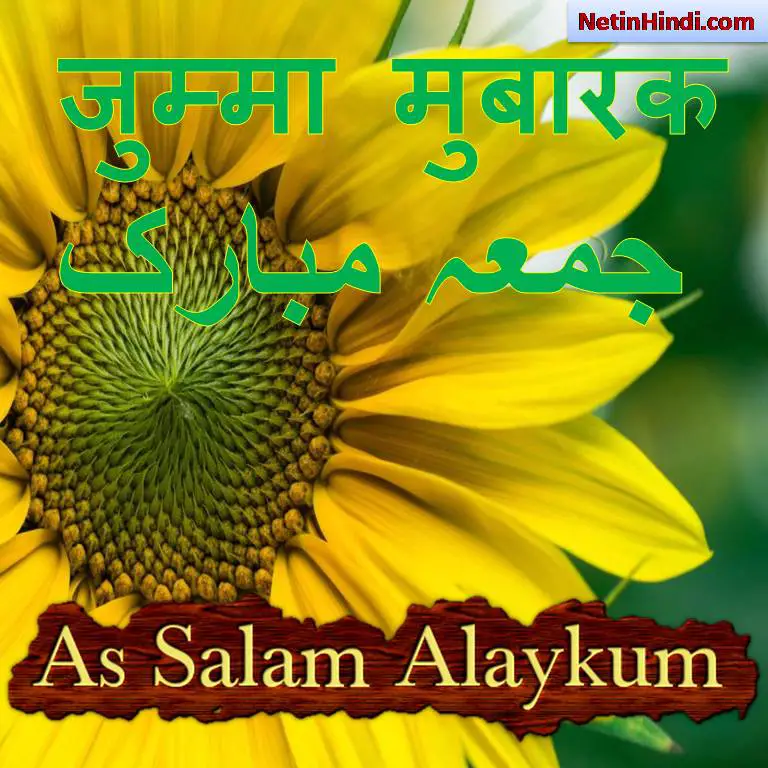 Assalamu alaikum Image flower